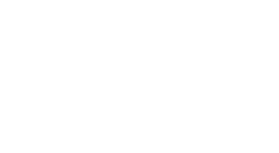 HIP Capital